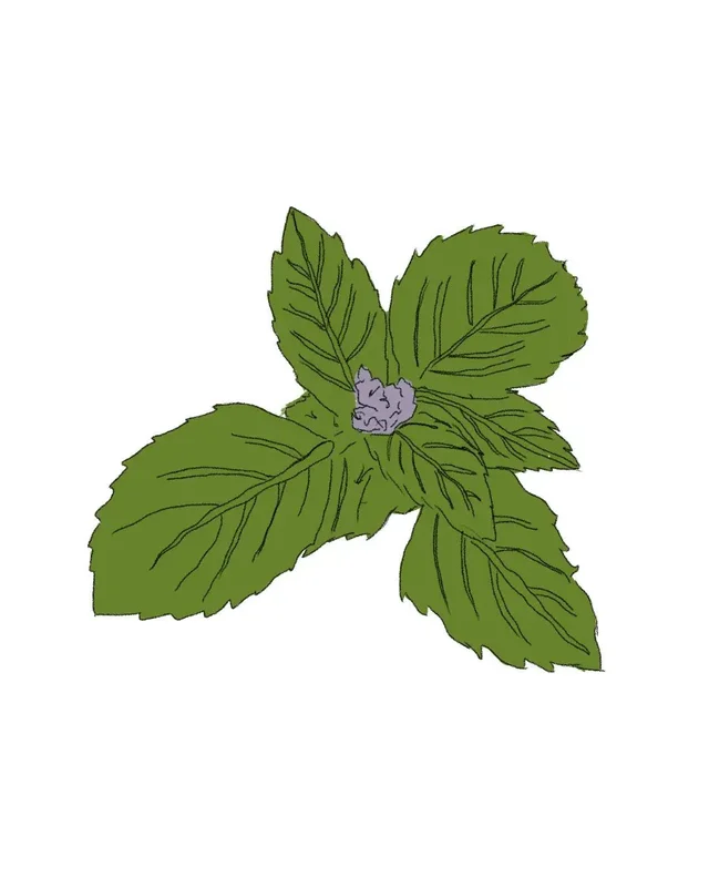 2026_07_16_526291