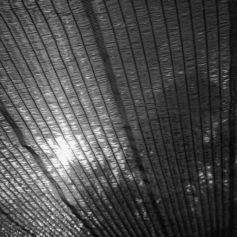 2026_07_16_544701