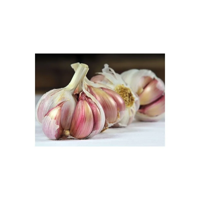 2026_07_17_589908