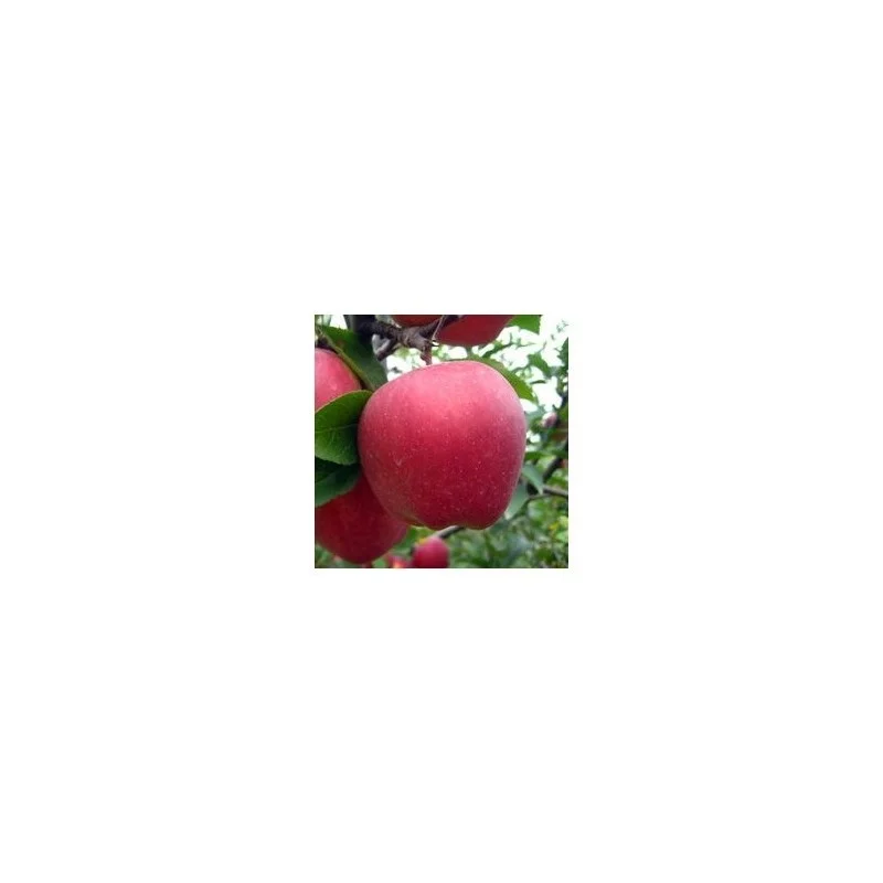 2026_07_17_590563