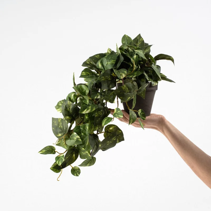 2026_07_17_593736
