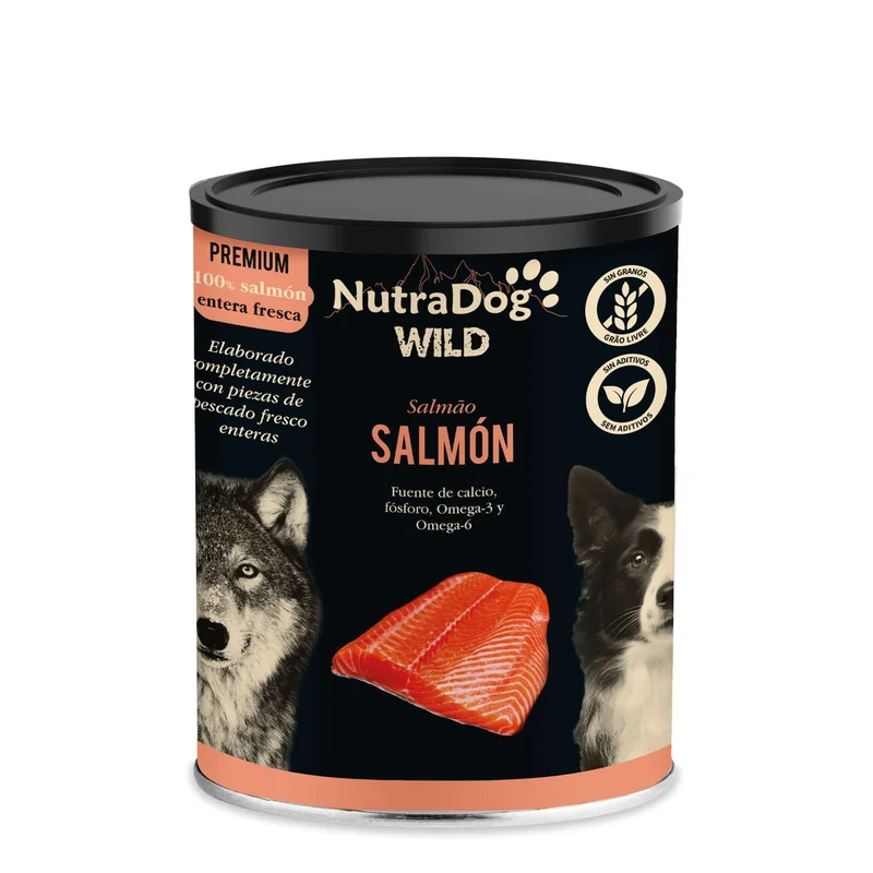 2026_07_17_601977