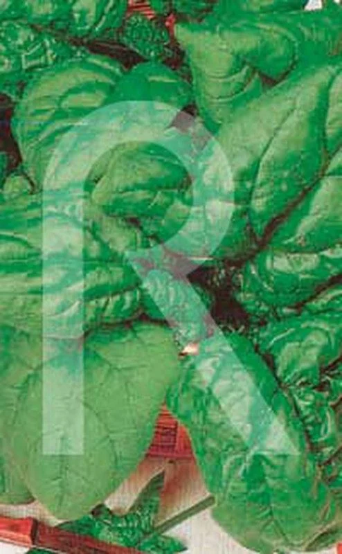 2026_07_17_603870
