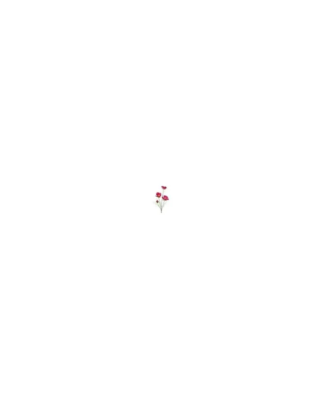 2026_07_17_604608
