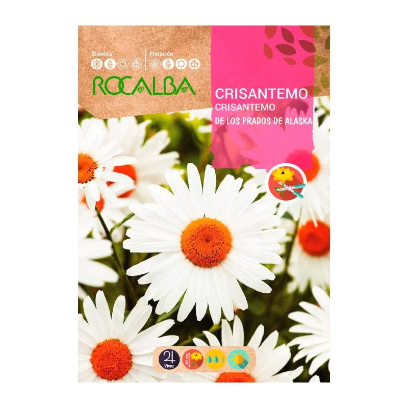 2026_07_17_613199