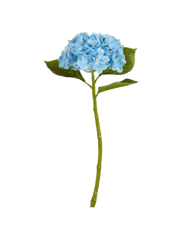 2026_07_17_619166